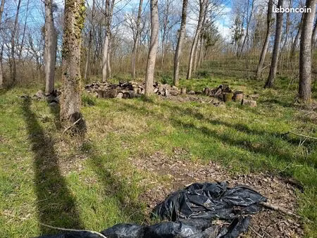 terres à castaignos souslens