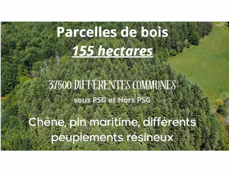 parcelles de bois 155 hectares