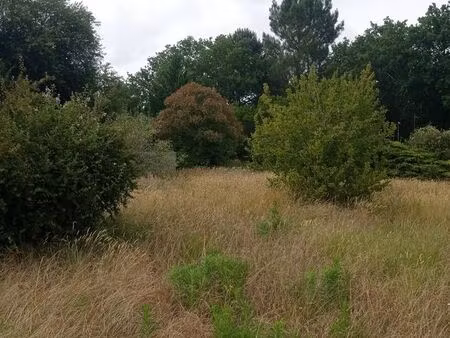 terrain proche du lac