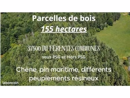 terrain 1556678 m² chinon