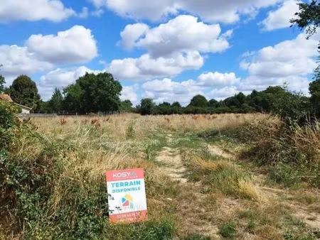 terrain 312 m² chalonnes sur loire