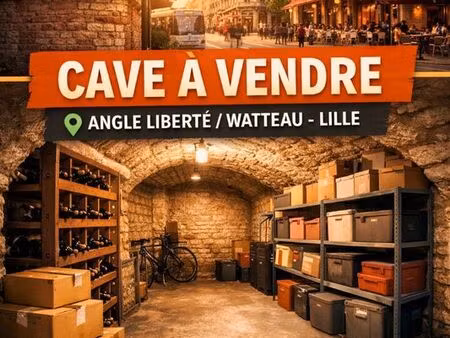 parking/box 1 pièce lille