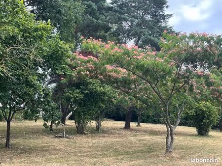 terrain constructible