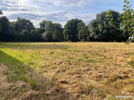 terrain à bâtir 770m2 soulaines sur-aubance  100.000