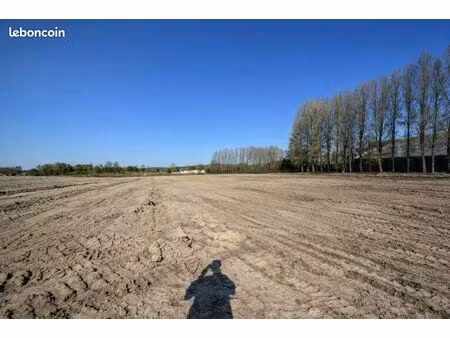 terrain de 4500 m² / dunkerque 59640 / quartier petite synthe