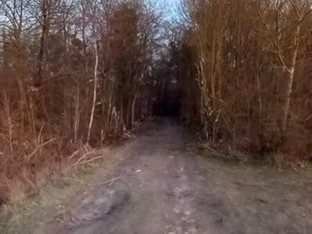 parcelle de bois a louer pour postes à pigeons pour la prochaine saison de chasse 2026 - 2