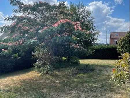 terrain constructible