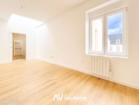 studio 1 pièce 21 m²