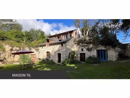 maison t6 semi-troglodytique + gîte - (axe doué/angers)