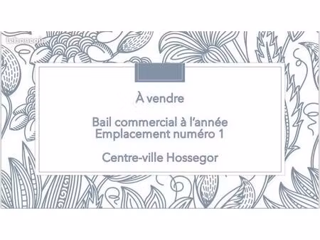 local commercial centre-ville hossegor