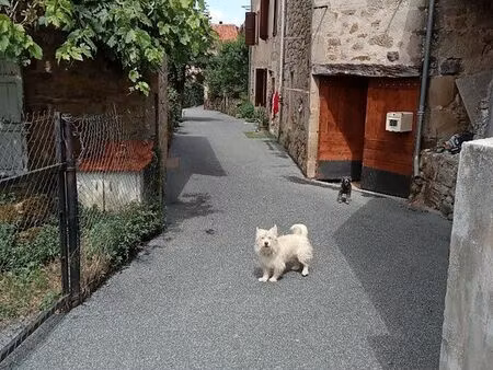 maison spécial investissement