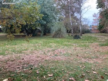 terrain 1 700 m² loupes