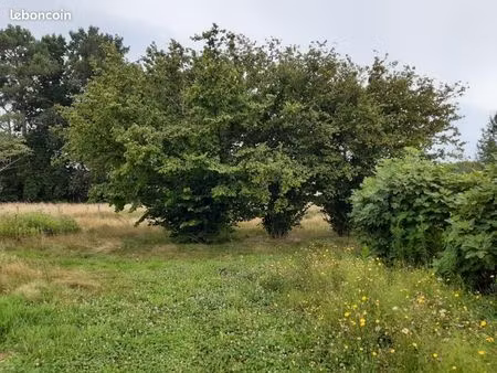 terrain 600 m² podensac