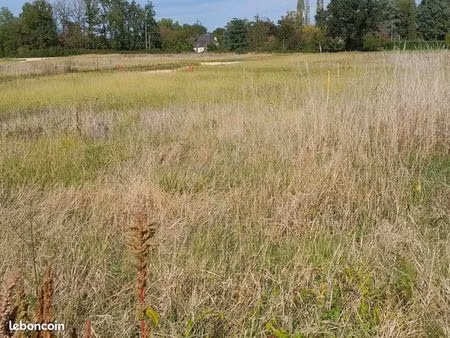 terrain 700 m² ayguemorte les graves