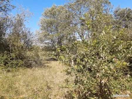 terrain 1 200 m² landiras