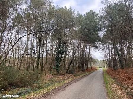 2 terrains boisés nc (châtaigniers et pins) situés à cournon 56200 (proche du terrain de f