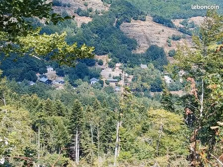 parcelle boisée direction mas de la barque