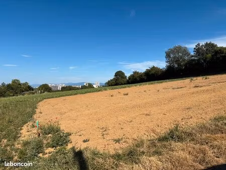 terrain constructible