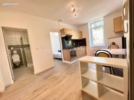 bel appartement meublé 30 m² entièrement rénové – centre-ville saint-avold