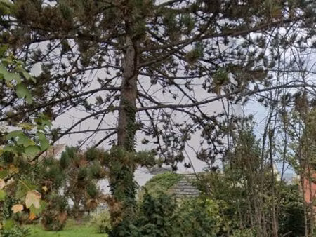 terrain constructible 9 ares