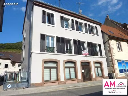 immeuble 395 m² guebwiller