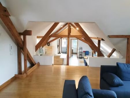 loft d’exception 6 pièces – 160 m² au sol – zillisheim centre