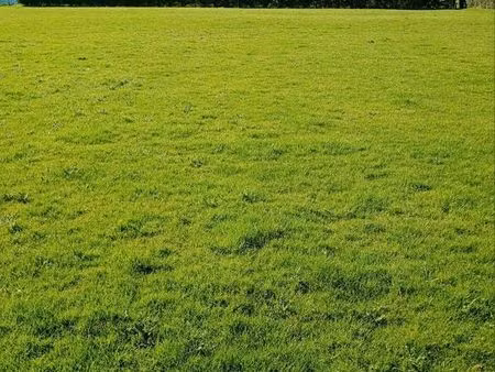 parcelle de terrain agricole