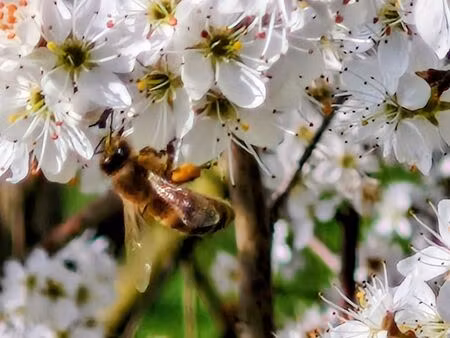 recherche appartement  maison