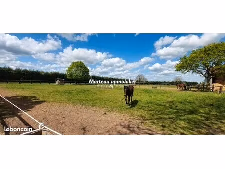 propriété 11 pièces 808 m²