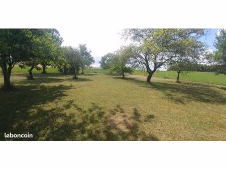 terrain 1430m2 somme-vesle 51460