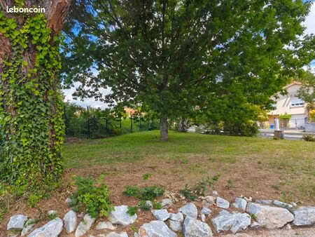 terrain constructible