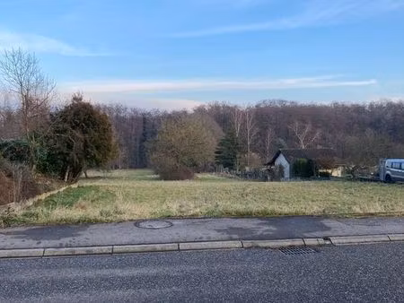 grand terrain constructible à vendre de 2000 m2 ( sarreguemines / folpersviller )