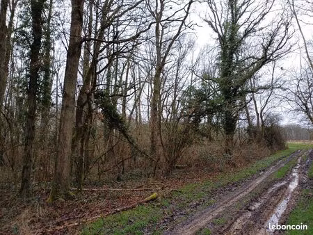 parcelle de bois 1908m2