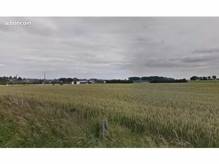 terrain 571 m² beuzeville la grenier