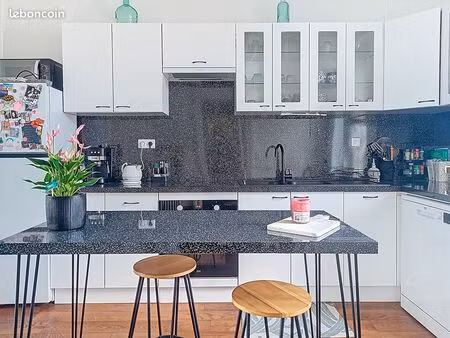 appartement 2 pièces 55 m²