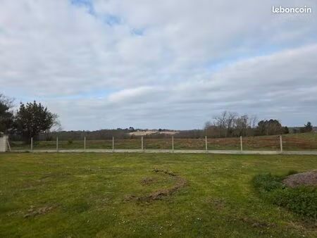 maison pierre 190 m2 grand terrain