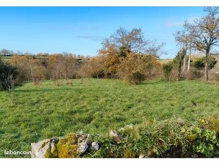 terrain constructible