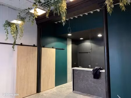 local commercial 166 m² perpignan