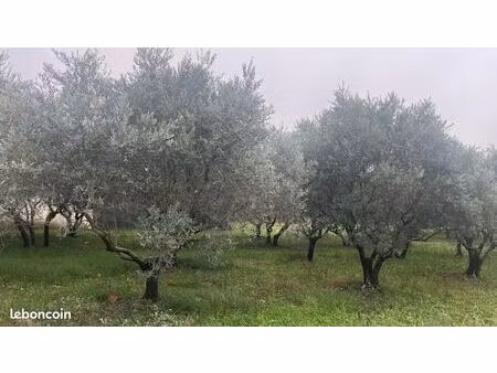 terrain 360 m² malemort du comtat