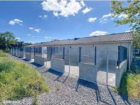 maison avec pension et élevage canin