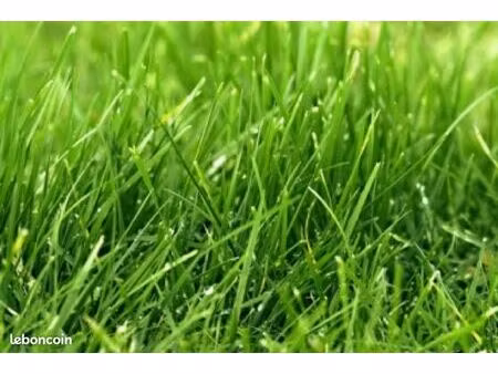 terrain 572 m² la salvetat saint gilles