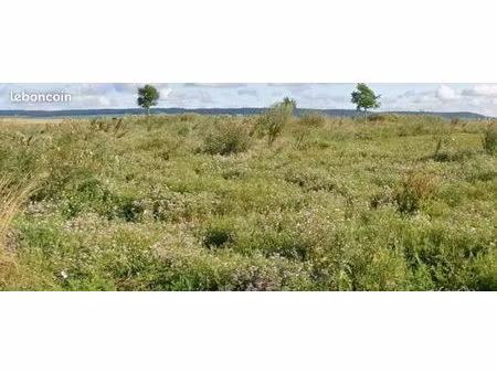 terrain 770 m² conde sur marne