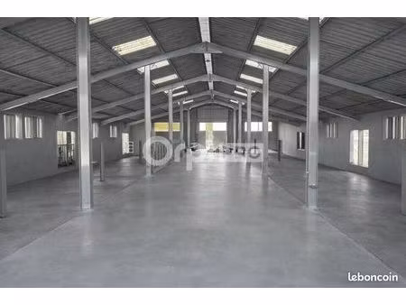 local d'activité 300 m²