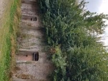 à louer – ensemble de caves troglodytes (lot complet) – 300/mois – montval-sur-loir (72500