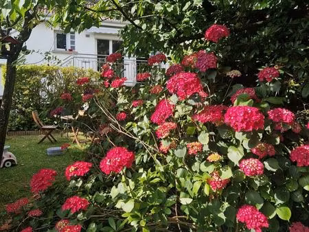 maison familiale avec jardin arboré le havre
