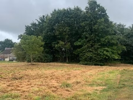 terrain constructible