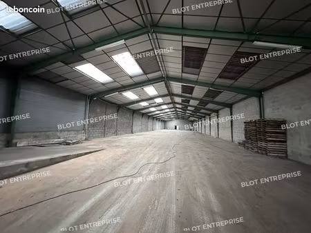 local d'activité 1 310 m²