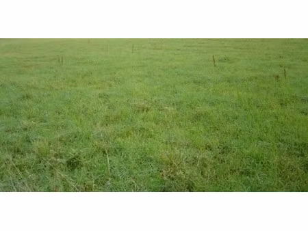 vente terrain 1000 m² à montmerrei (61570)  20 500 €