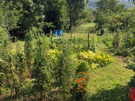 location parcelle jardin