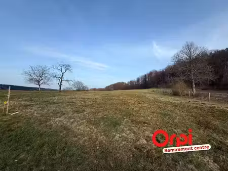 vente terrain 3130 m² à le val-d'ajol (88340)  45 000 €